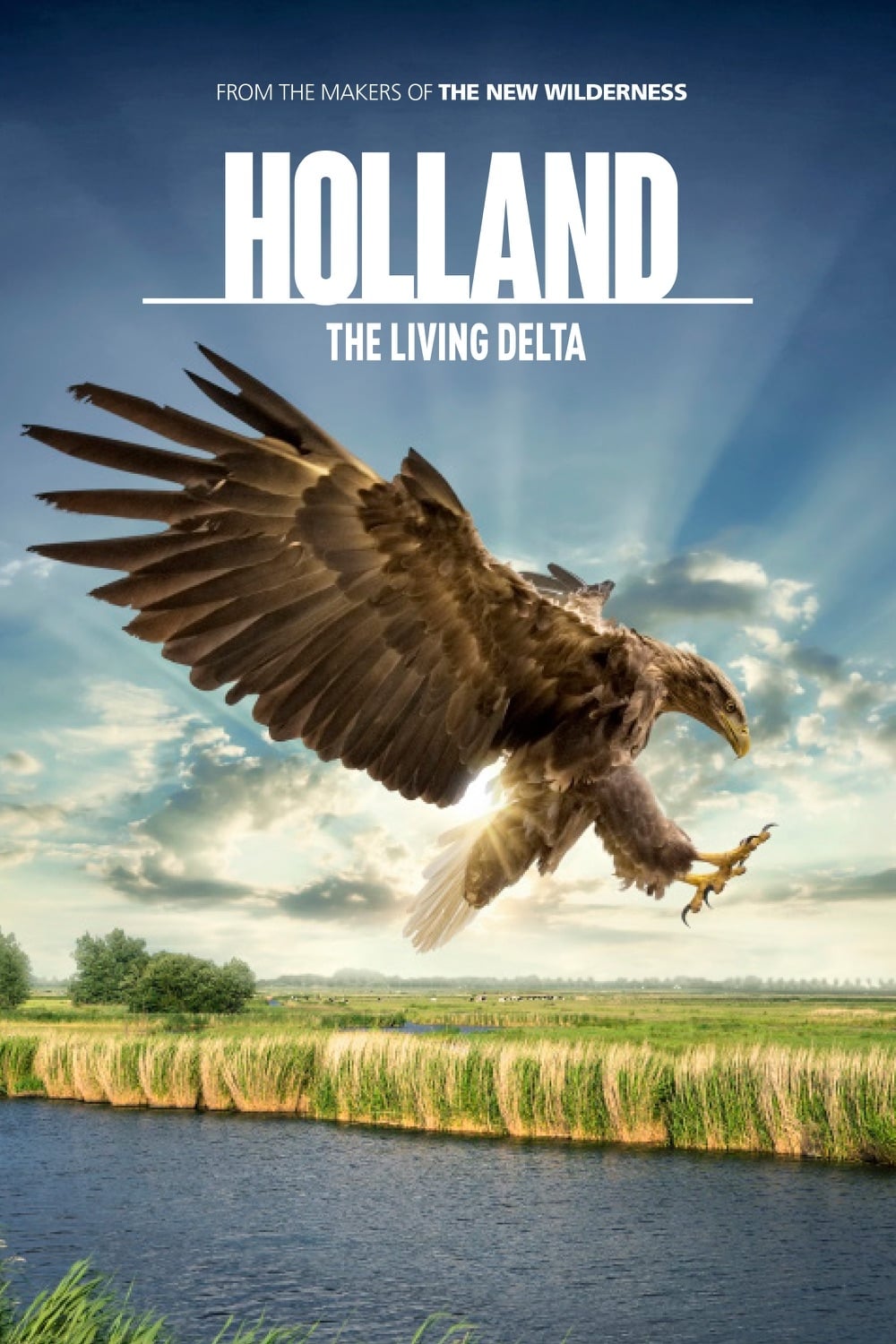 Постер Holland: Natuur in de Delta